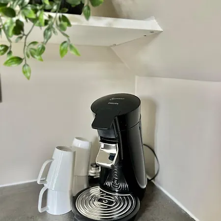 4 Bedroom Newly Renovated Apartament