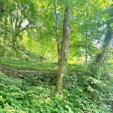 4 Bedroom Newly Renovated