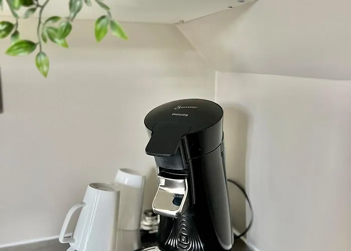 4 Bedroom Newly Renovated Appartement