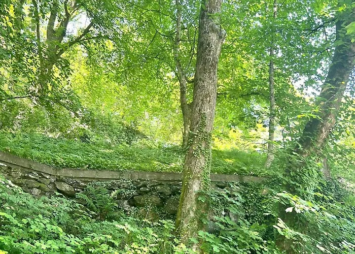 4 Bedroom Newly Renovated